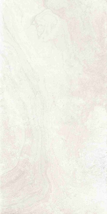 Petra Viva Bone Matte 24 x 48